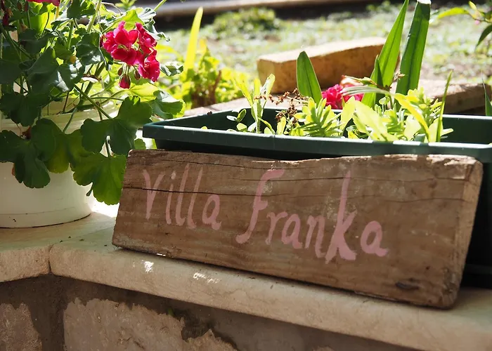 Franka 3*