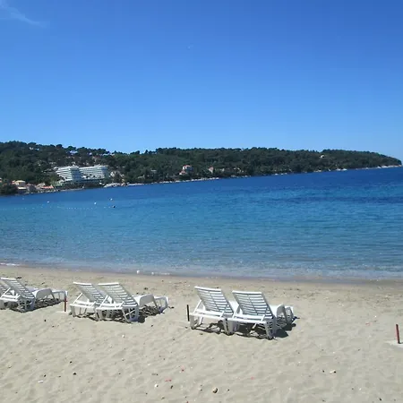 Guest house Franka 3*