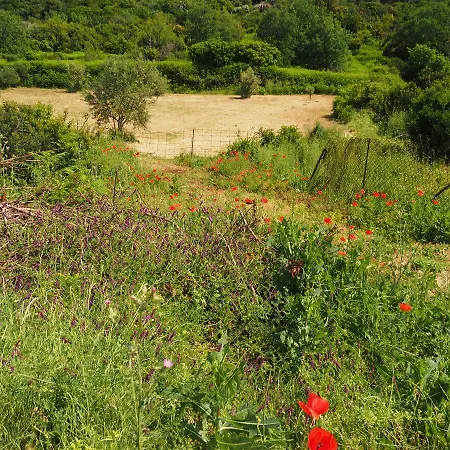 Franka 3* Лопуд